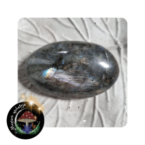 🌌 Labradoriet – Intuïtie • Creativiteit • Bewustwording | Hand steen 💙 9x6cm