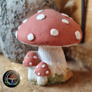 🍄 Handgeschilderde Paddenstoel van Beton